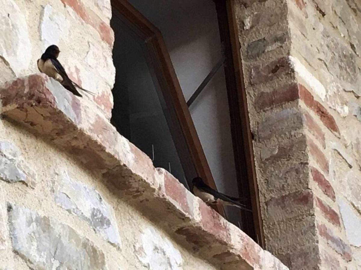 San Venanzo - Casale De Conti Villa Bagian luar foto